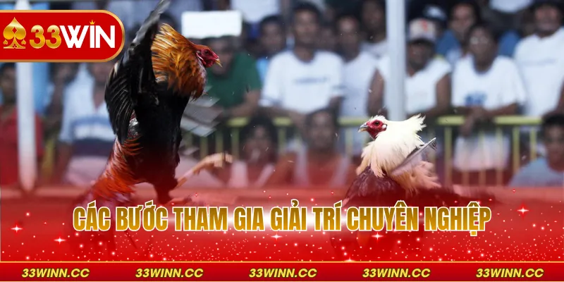 Các bước tham gia giải trí chuyên nghiệp